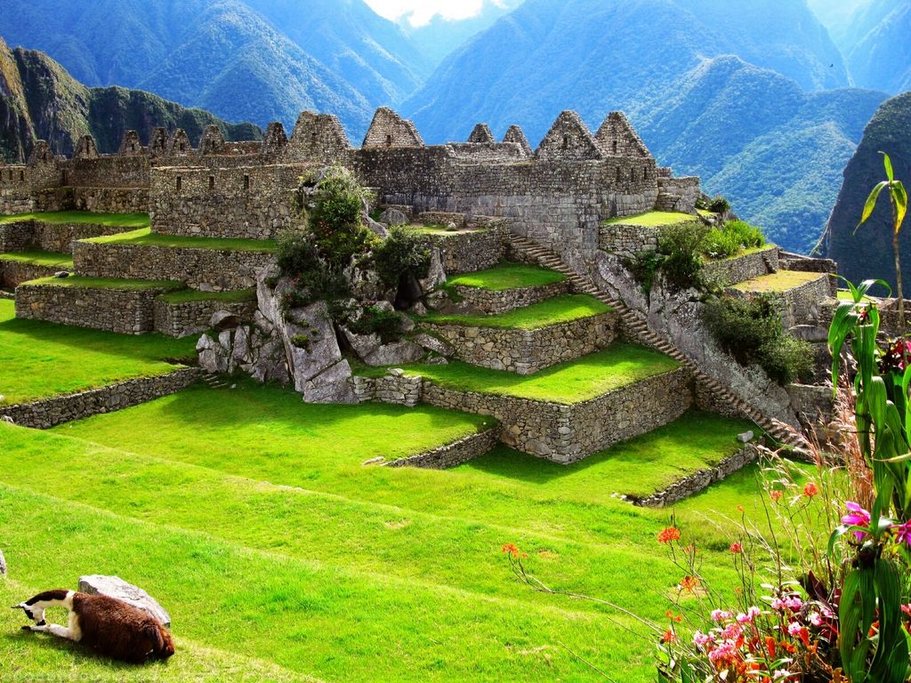 citadel_machu_picchu
