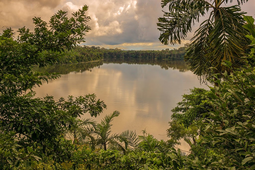 tambopata